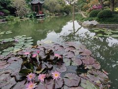 -云溪植物园