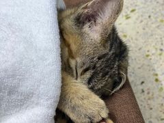 -拜鲁耶动物诊疗中心·宠家动物医院