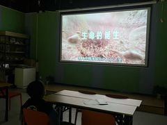 -生命奥秘博物馆