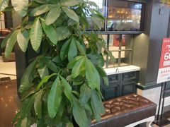 -高第街56号港式餐厅·精选(世茂广场宽厚里大明湖店)
