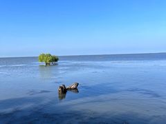 -农垦当壁镇兴凯湖旅游度假区