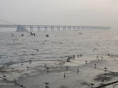 -星海湾跨海大桥