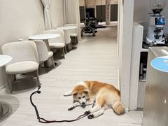 -YCHL Studios健身工作室(市二宫店)