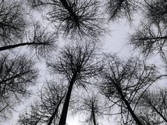 -硗碛藏寨·神木垒景区