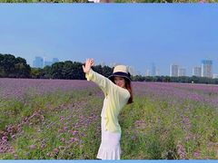 -山明水秀大饭店