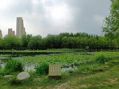 -前关湿地公园