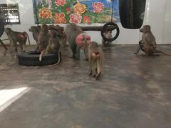 -西安秦岭野生动物园