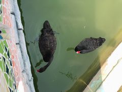 -蓬莱欧乐堡梦幻世界