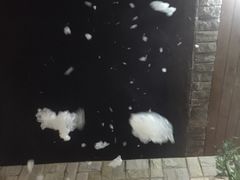 -北京美神宫艺术主题温泉酒店