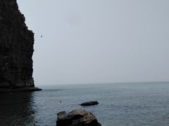 -长岛万鸟岛