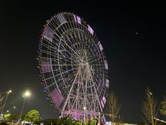 -南昌之星摩天轮