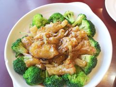 葱烧蹄筋-鸢飞潍坊菜馆(鸢飞大酒店)
