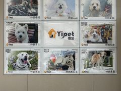 -翊宠yipet猫狗购宠庄园犬舍•猫舍