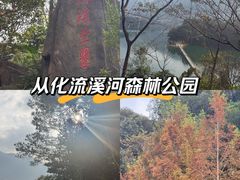 -广州市流溪河国家森林公园