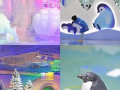 -海合安武汉极地海洋公园