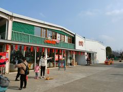 -前小桔亲子创意农场·草莓采摘·露营烧烤