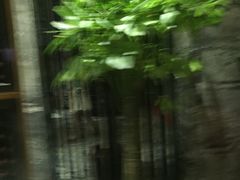 -瑞华酒楼(佳景国际店)