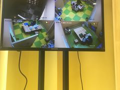 -辫豆HABA逻辑思维课程(群力总校)