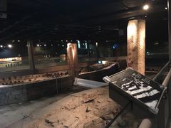 -元代水闸遗址博物馆
