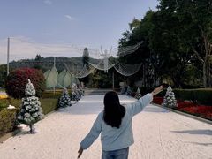 -东南花都花博园