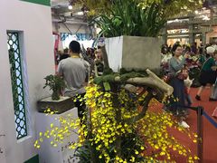 -东南花都花博园