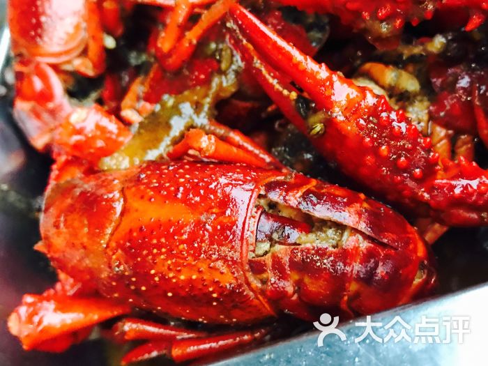 霸王龙虾图片 - 第8张