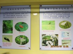 IMG_2790-上海昆虫博物馆