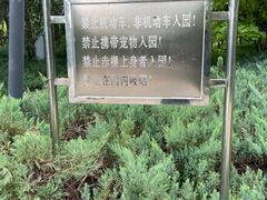 -大望京公园