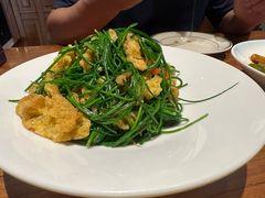 -杨乐辣子鸡(和田一街店)