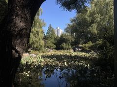 -皇家御河游(紫御湾码头)