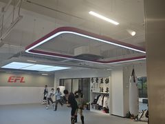 -EFL巴西柔术·综合格斗·泰拳·少儿体能训练(虹桥德必馆)
