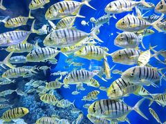 -成都浩海立方海洋公园