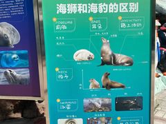 -海合安成都极地海洋公园
