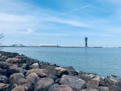 -上海吴淞炮台湾国家湿地公园