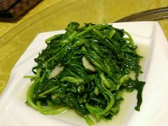 马兰头-丁老爷子苏香圆