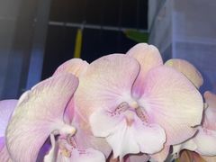 -南宁时代电影大世界(CGS激光中国巨幕)