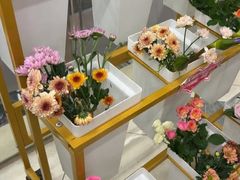 -海底捞火锅(莘松路店)