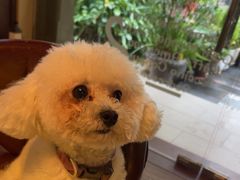 -默迹咖啡馆