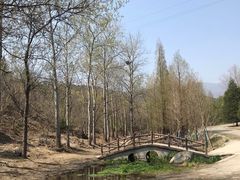-白水寺森林公园