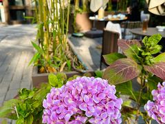 -梅间堂茶馆(绿地缤纷城店)