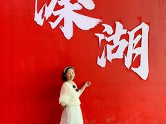 -溱湖国家湿地公园