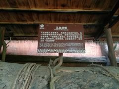 -海南槟榔谷黎苗文化旅游区