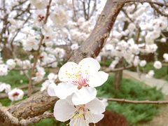 -长辛店二七公园