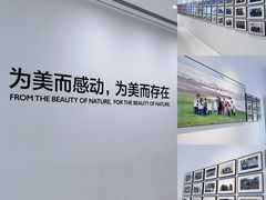 -罗红摄影艺术馆