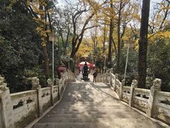 -九华山公园