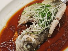 -新乾隆酒楼(帝景园店)