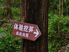 -同里国家湿地公园