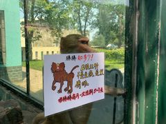 -无锡动物园·太湖欢乐园