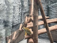 -武汉动物园