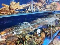 -鹊华居·地道鲁菜·海鲜·融合味(大明湖店)